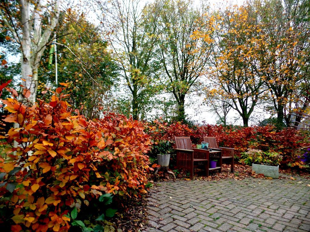 Bed En Breakfast De Pauw Wieringerwaard Luaran gambar