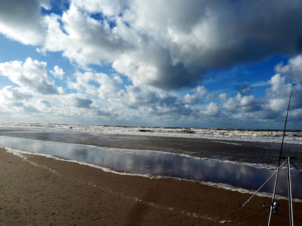 Bed En Breakfast De Pauw Wieringerwaard Luaran gambar