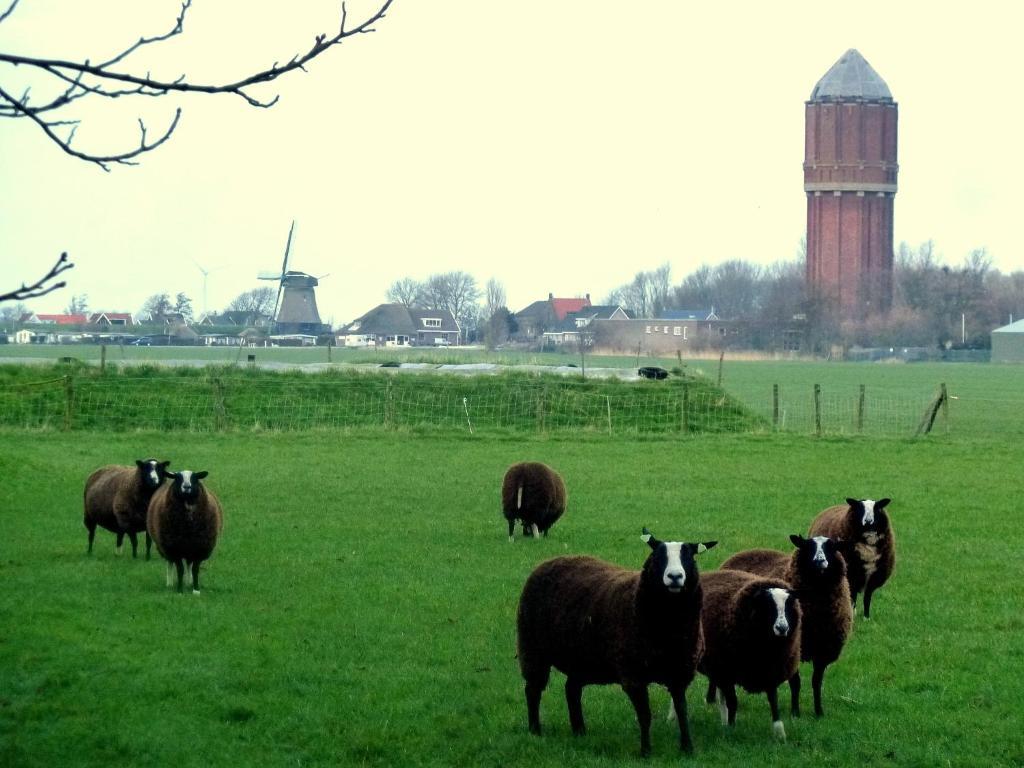 Bed En Breakfast De Pauw Wieringerwaard Bilik gambar