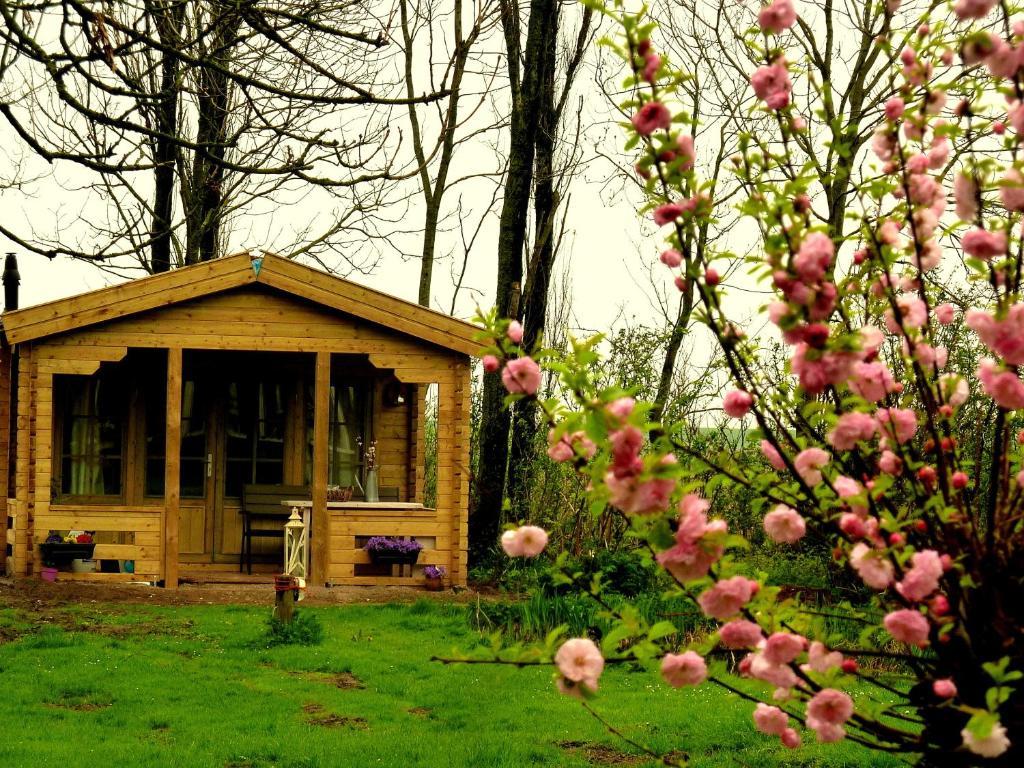 Bed En Breakfast De Pauw Wieringerwaard Bilik gambar